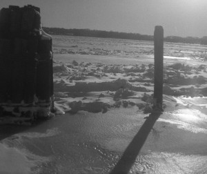 Pilings in the Potomac, ice